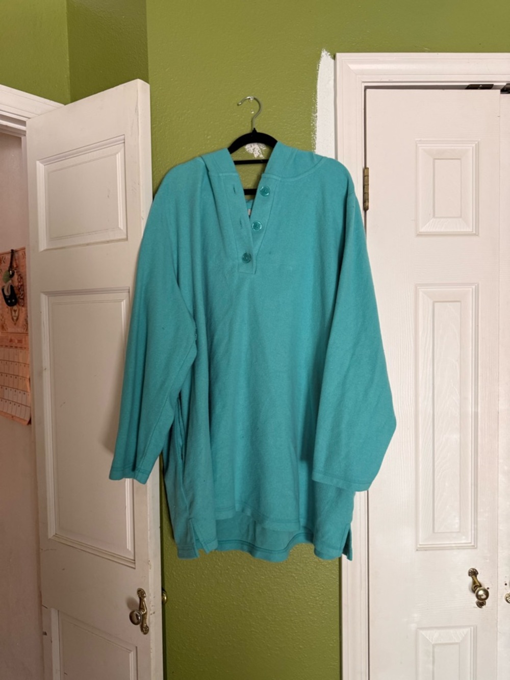 Woman Within Teal Hooded Pullover